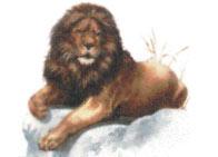 Loris Lions