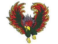 Lawrence Free State Firebirds