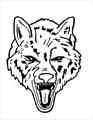 Boone Grove Wolves