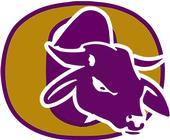 Okeechobee Brahmans