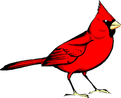 Eleva-Strum Cardinals