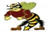 Magoffin County Hornets
