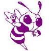 L'Anse Purple Hornets