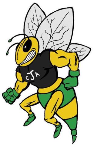 CA Johnson Green Hornets