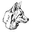Fort Sumner Foxes