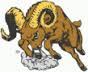 Maricopa Rams