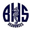 Burlington Seahorses