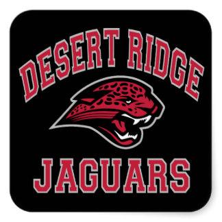Desert Ridge Jaguars