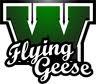 Wethersfield Flying Geese