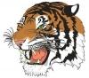 Breckinridge County Fighting Tigers