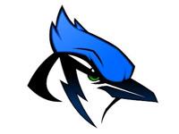 Pleasanton Blue Jays