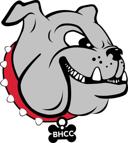 Bunker Hill Community College Bulldogs