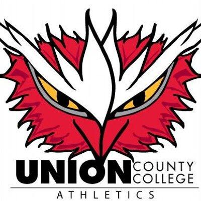 Union County College Owls