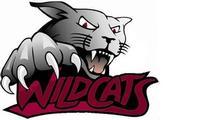 Wytheville Community College Wildcats