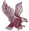 Lock Haven University Bald Eagles