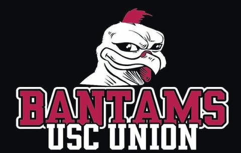 University of South Carolina Union Bantams