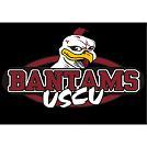 University of South Carolina Union Bantams