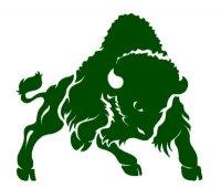 Bethany College Bison