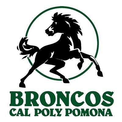  Pomona Broncos