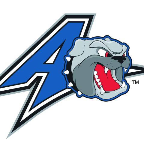 University of North Carolina-Asheville Bulldogs