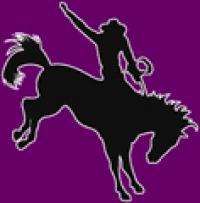 New Mexico Highlands University Cowboys