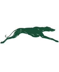 Eastern New Mexico University Greyhounds
