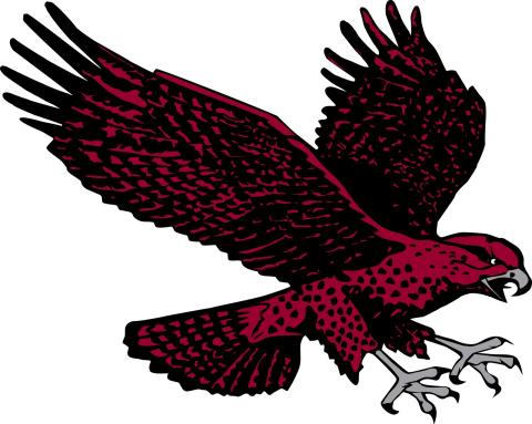 University of Maryland-Eastern Shore Hawks