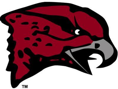 University of Maryland-Eastern Shore Hawks