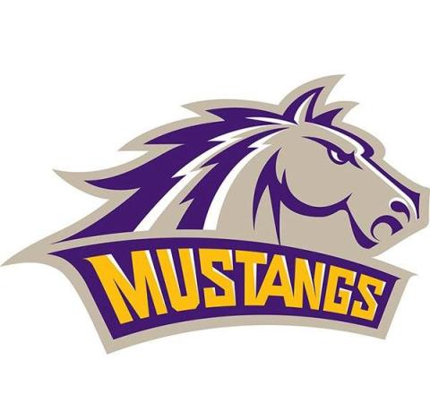 Western New Mexico University Mustangs