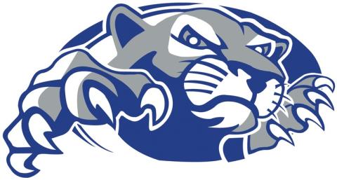 Pennsylvania State University Wilkes-Barre Nittany Lions