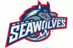 Stony Brook University Seawolves