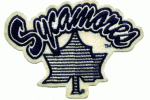 Indiana State University Sycamores