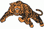 Princeton University Tigers
