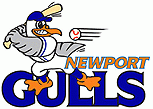 Newport Gulls
