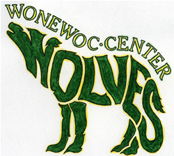Wonewoc-Center Wolves