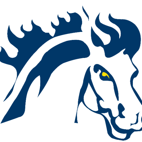 Mount Mercy University Mustangs