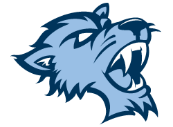 Baruch College Bearcats