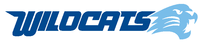 Lincoln College of New England Wildcats