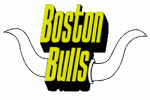 Boston Bulls