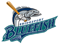 Bridgeport Bluefish