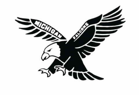 Michigan Falcons