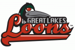 Great Lakes Loons