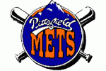 Pittsfield Mets