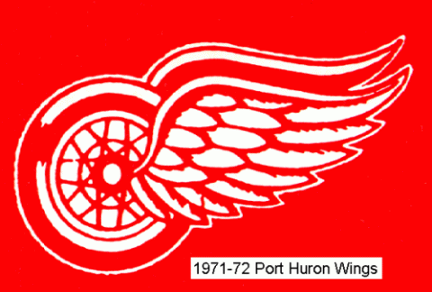 Port Huron Wings