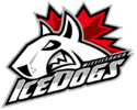 Mississauga Ice Dogs