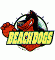 Florida Beachdogs