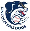Lincoln Saltdogs