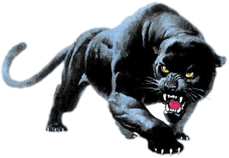 Amory Panthers