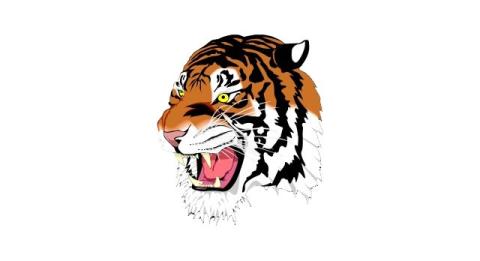 Ansonia Tigers