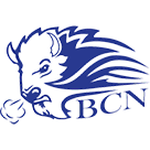 Barnes County North Bison